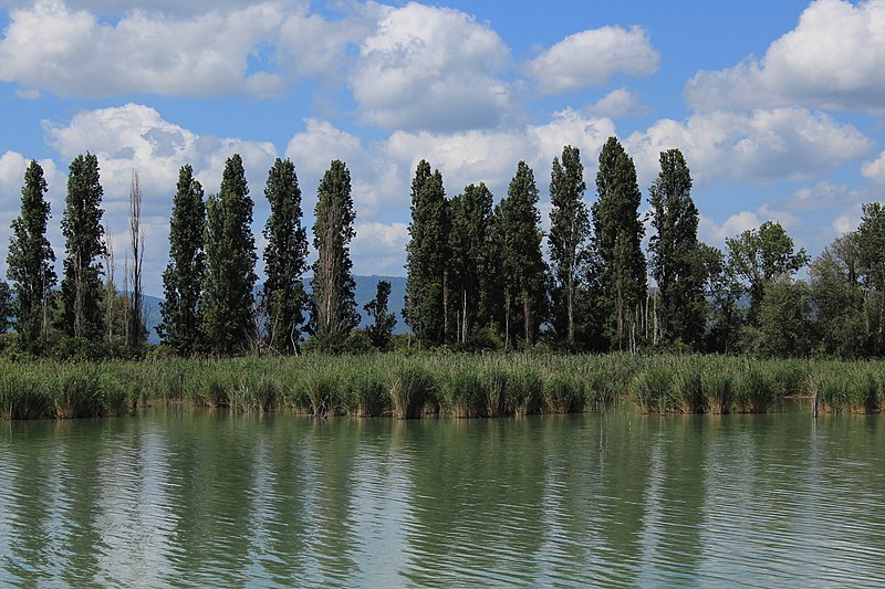 File:Lago Trasimeno isola Polvese.jpg