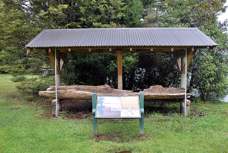 File:Lake Rotoroa Dugout Canoe.JPG