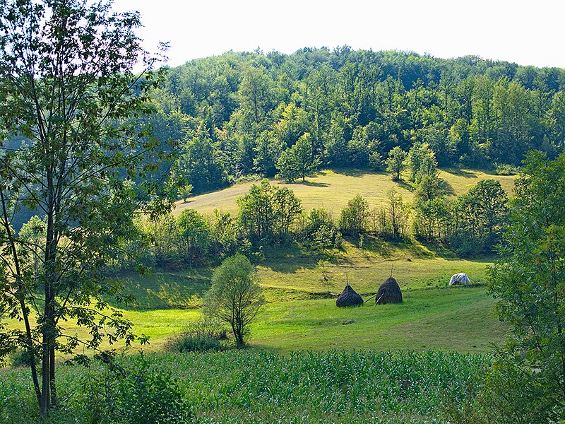 File:Landscape of the village Severovo, Serbia - 7980.CR24.jpg