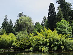 Laurelhurst Park (2012)