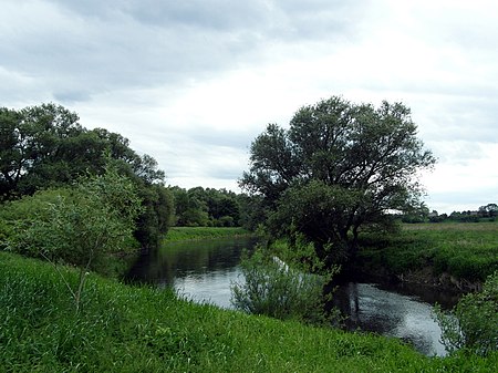 Leine bei Koldingen