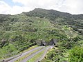 Levada do Caniçal, Parque Natural da Madeira - 2018-04-08 - IMG 3366.jpg