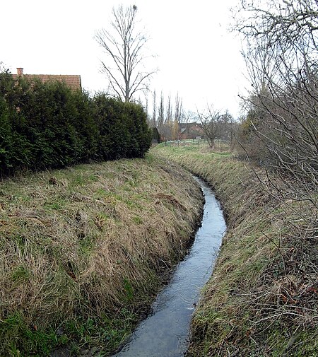 Levester Bach in Redderse