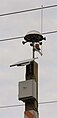 A Thor Guard Lightning Prediction System, as deployed by the Niles Parks District, Niles, Illinois, United States