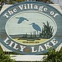 Thumbnail for Lily Lake, Illinois