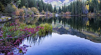 Lizard Lake, in the White River National Forest east of Marble, Colorado. Lizard Lake, Colo.jpg