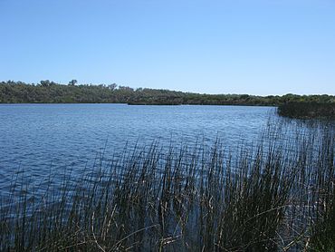 Loch McNess 1 Yanchep NP X-2009.jpeg