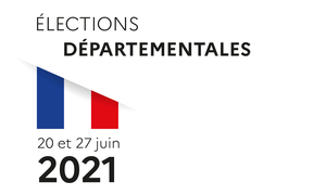 Élections Départementales Françaises De 2021: Contexte, Mode de scrutin, Collectivités non concernées