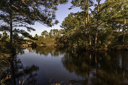 Mackay Island Wildlife Refuge