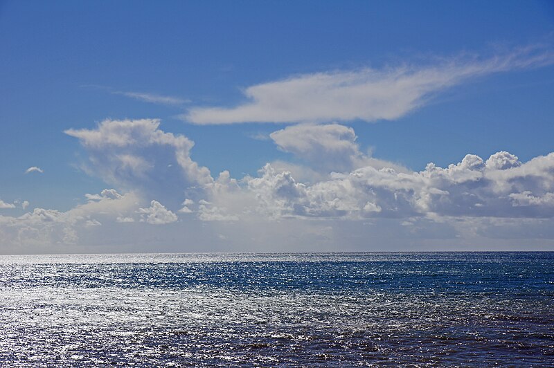 File:Madeira 268 Ponta do Sol.jpg