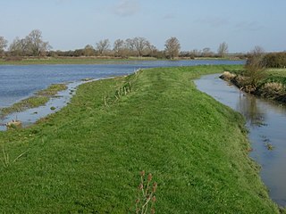 <span class="mw-page-title-main">Mare Fen</span>