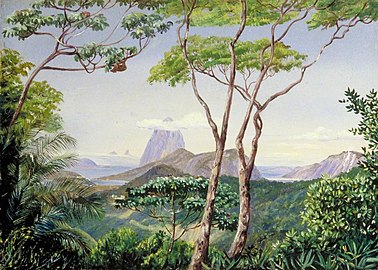 Marianne North (1830-1890) - View of the Sugarloaf Mountain from the Aqueduct Road, Rio Janeiro - MN823 - Marianne North Gallery, Royal Botanic Gardens, Kew.jpg