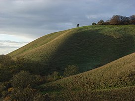 Martinsell Hill - geograph.org.inggris - 282532.jpg