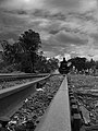 Mary Valley Rattler monochrome at Kandanga station - panoramio.jpg