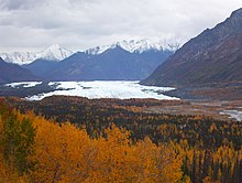 Matanuska Glacier in the Chugach Mountains is the source of the Matanuska river Matglacier.JPG