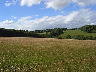 <span class="mw-page-title-main">Chinnor Hill</span>