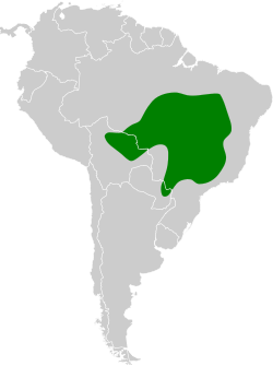 Distribución geográfica del pecholuna brasileño.