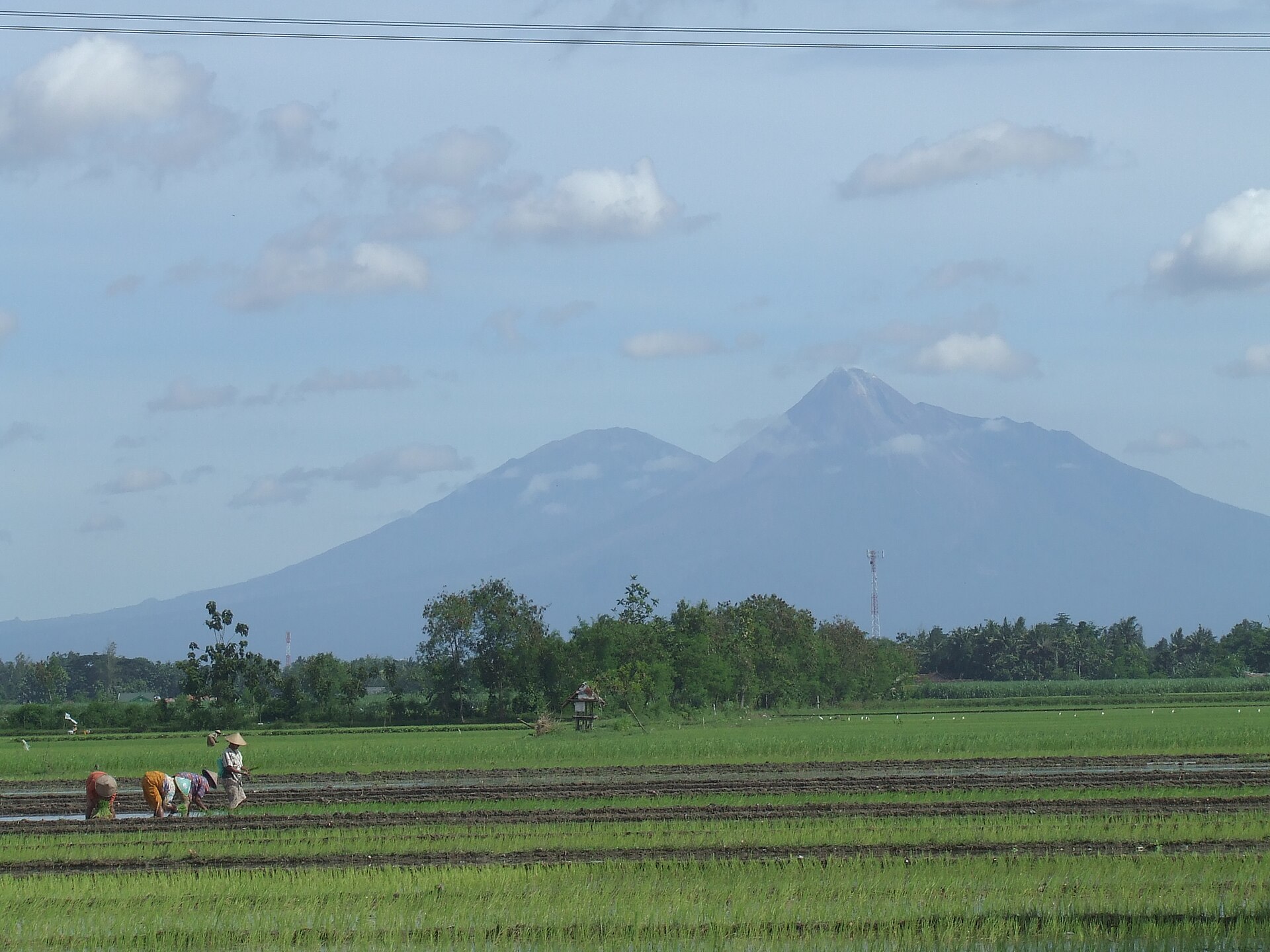  Central  Java  Wikipedia