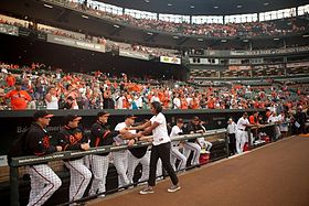 Przykładowe zdjęcie przedstawiające element sezonu Baltimore Orioles 2010