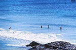 Thumbnail for File:Middle Rocks body surfing Fraser Island Queensland August 1986 IMG 0006.jpg