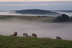 Misty landscape (2686129997).jpg