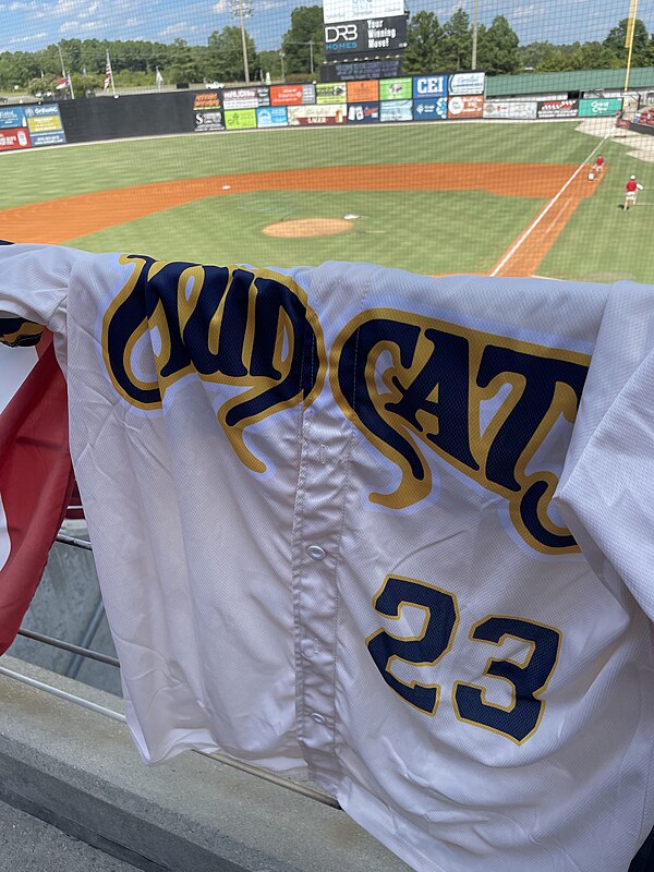 A Brewers-themed Mudcats jersey given away in August 2023