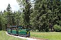 English: (missing text) The green train of the Museumsfeldbahn Großgmain in the woods. Deutsch: (missing text) Der grüne Zug der Museumsfeldbahn Großgmain im Wald.