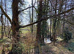 Schwarzbachtal bei Götzenberg