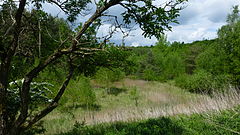 Sand pit in the nature reserve In the seven mountain parts