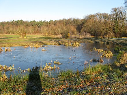 Nature protection area Nordholz