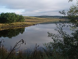 Noordwestelijke kust van Lochinvar.  - geograph.org.uk - 1001914.jpg