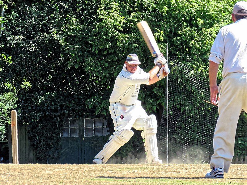 File:Nuthurst CC v. Henfield CC at Mannings Heath, West Sussex, England 013.jpg