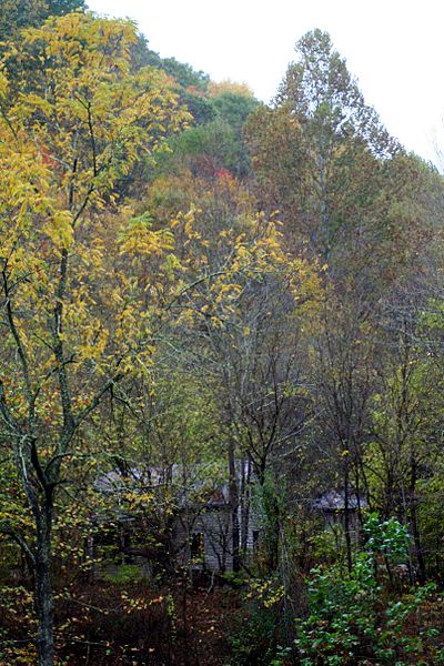 File:Old-house-woods - West Virginia - ForestWander.jpg