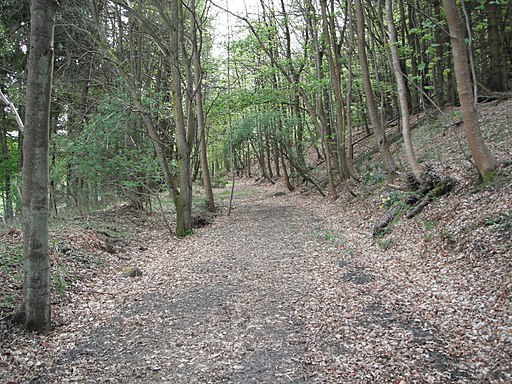 Old railway track around Newtyle - geograph.org.uk - 2413850