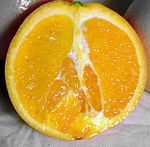 脐橙 Navel orange