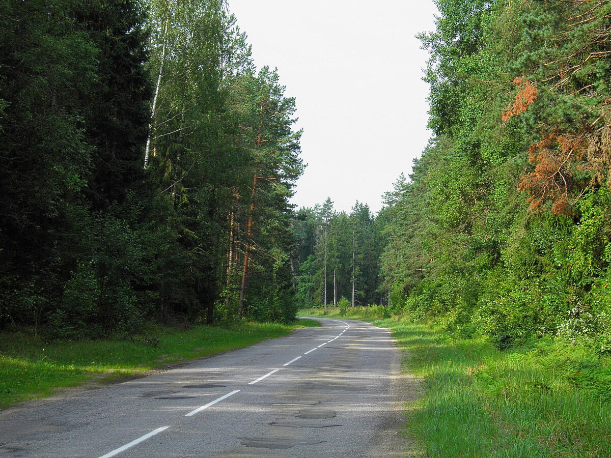 Road 88. Бирзгале Латвия. Бирзгале. Стиле 88 дорога. Бирзгале Латвия фото.