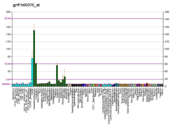 PBB GE ALS2 gnf1h00370 at fs.png