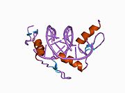 1aay: ZIF268 ZINC FINGER-DNA COMPLEX