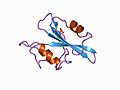 Thumbnail for Tyrosine phosphorylation