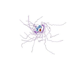 UBX protein domain