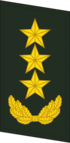 PLAGF-ovratnik-0720-GEN.png