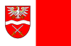 Флаг Сохачевского уезда 