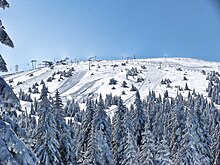 Kopaonik Pancicev vrh during winter.jpg