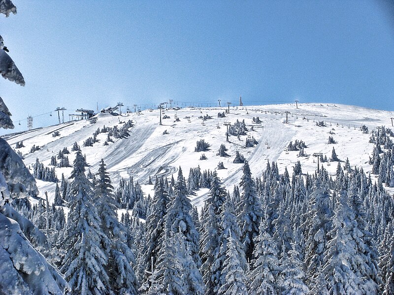 File:Pančićev vrh during winter.jpg