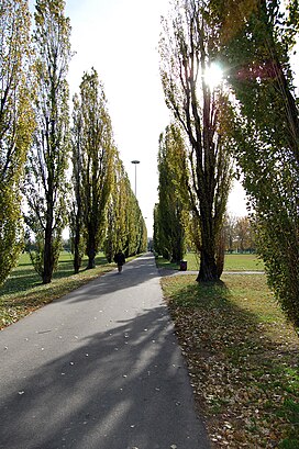 milano da piazza cinque giornate a molino dorino-m1 in bicicletta