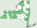 Parnassia glauca NY-dist-map.png