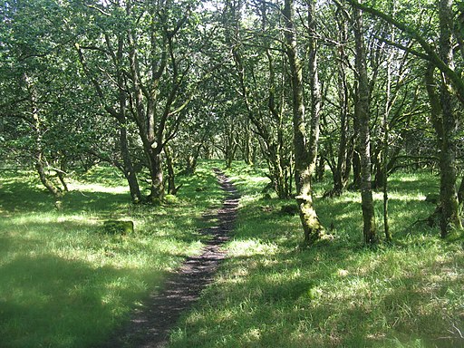 Path through the woods at the Pass of Leny - geograph.org.uk - 2554429