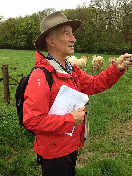 File:Paul Somme Walk.jpg