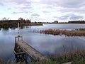 Paviešiečiai pond