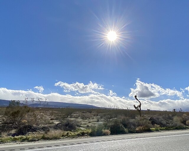 Scenery of Pearblossom Highway feat. Yucca brevifolia